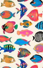 Cartagena Top ~ Rainbow Reef