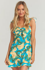 Brigette Mini Dress
